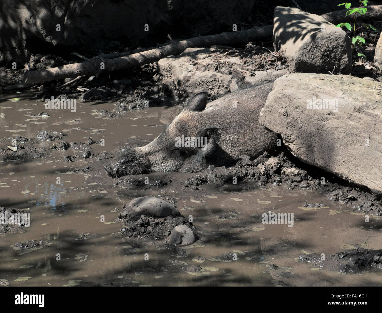 Zoo von Calgary Dinosaurierpark nennt man "Dinosaurs Alive" Stockfoto