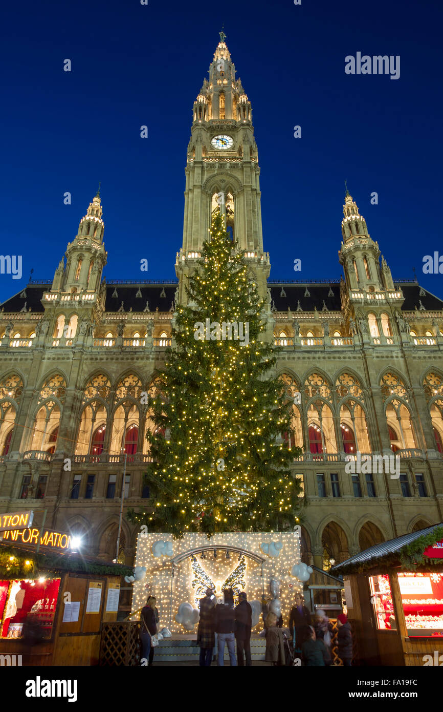 Beleuchtete Weihnachtsbaum vor dem Wiener Rathaus, Rathausplatz, Wien, Österreich Stockfoto