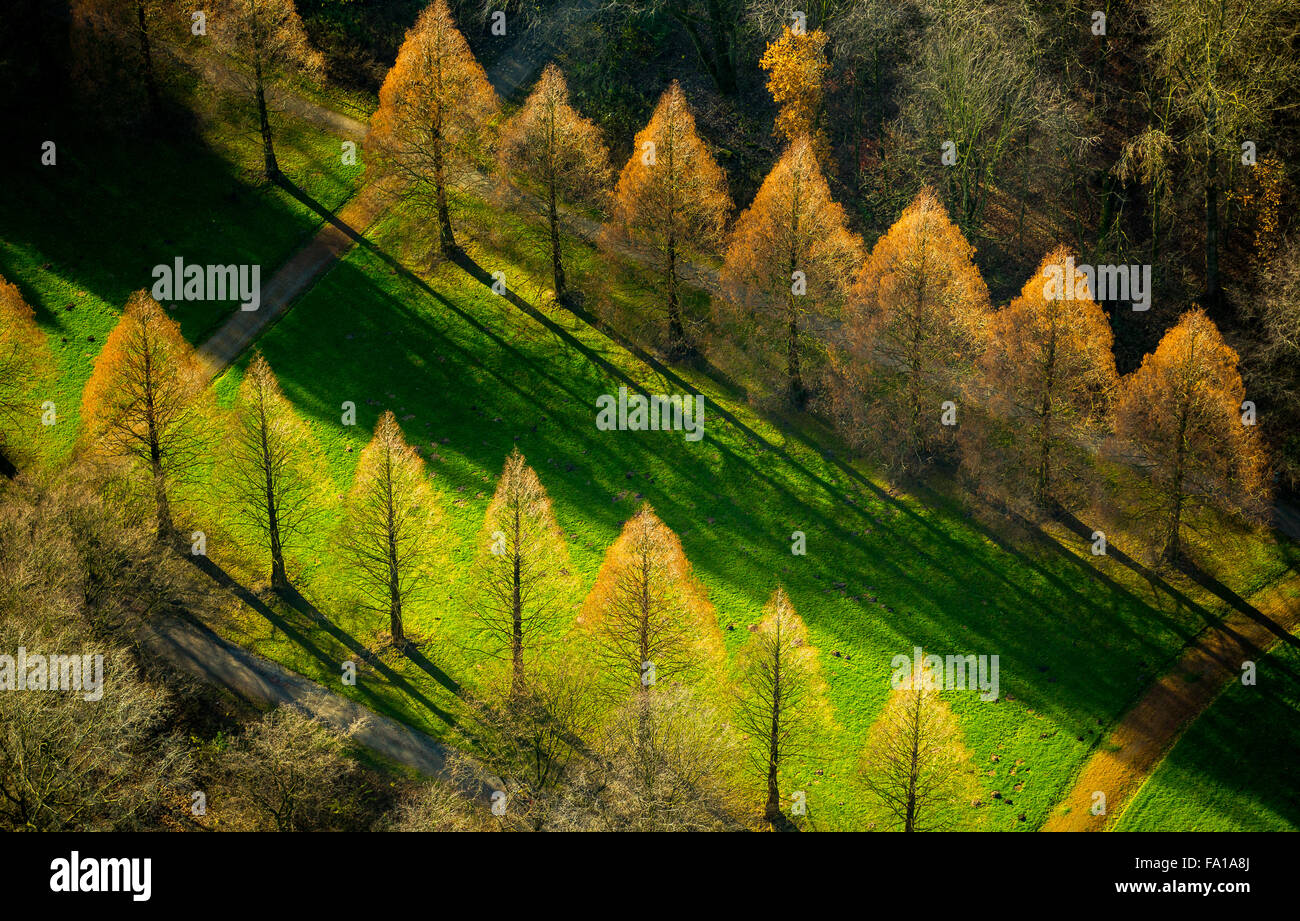 Luftaufnahme, Berger Park Schloss Berg, Winter verlässt, Stadtgarten Herbstbelaubung, Gelsenkirchen, Ruhrgebiet, Stockfoto