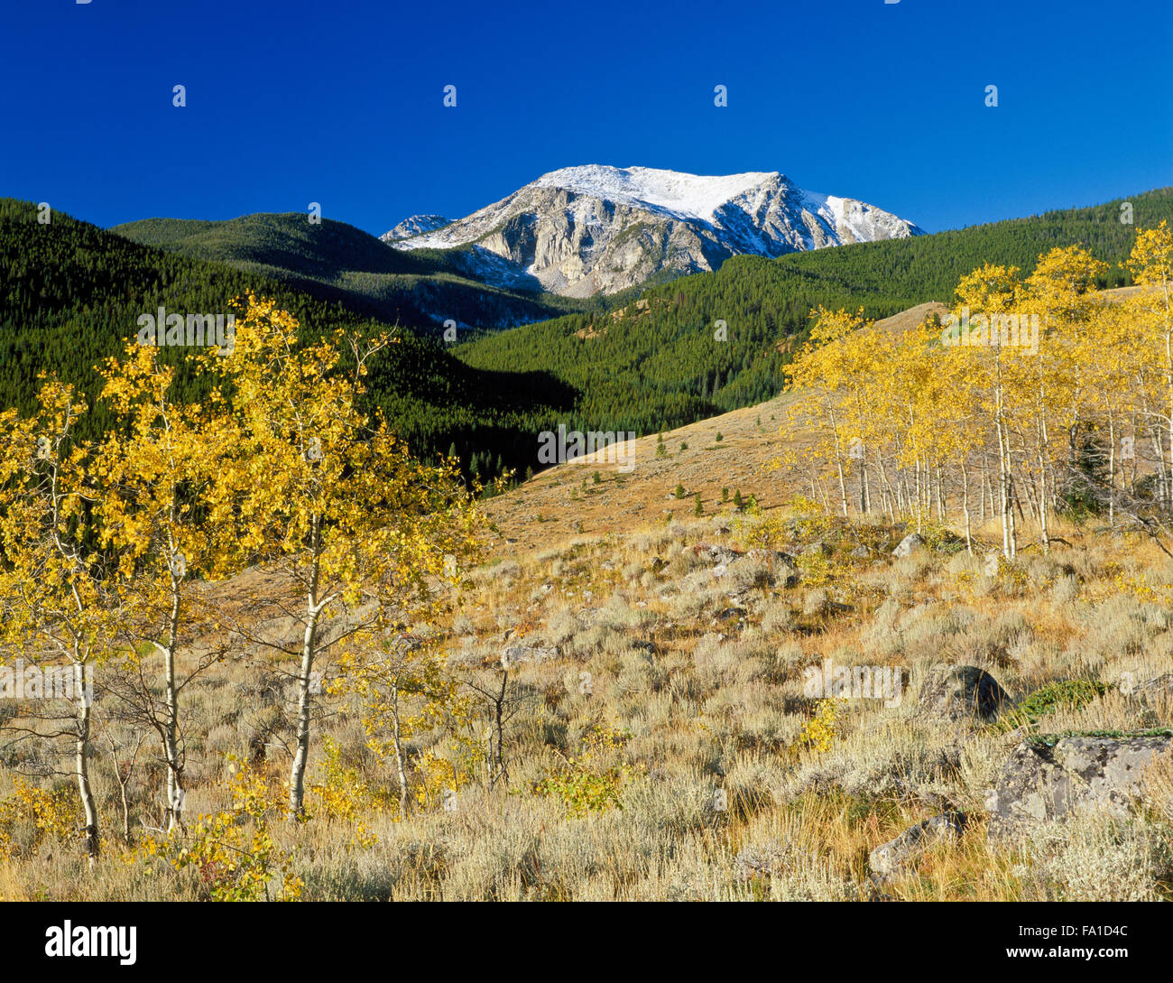 hohle Top Mountain im Bereich Tabak Wurzel in der Nähe von Pony, montana Stockfoto