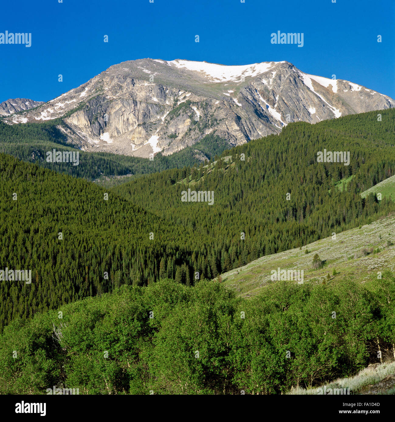 hohle Top Mountain im Bereich Tabak Wurzel in der Nähe von Pony, montana Stockfoto