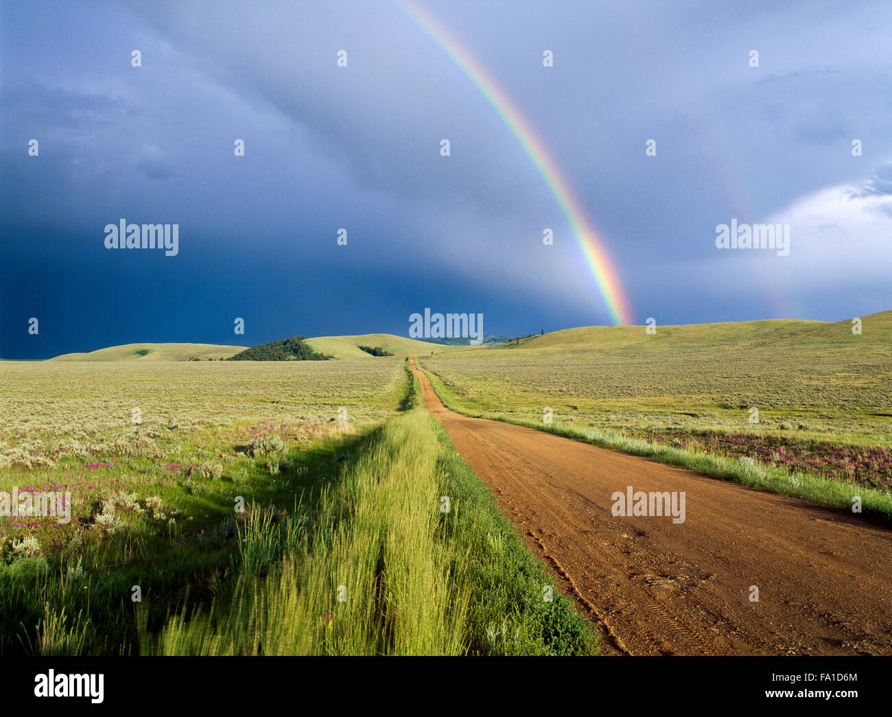 regenbogen über der Prärie und abgelegene Backroad in der Nähe von weißen Schwefelquellen, montana Stockfoto