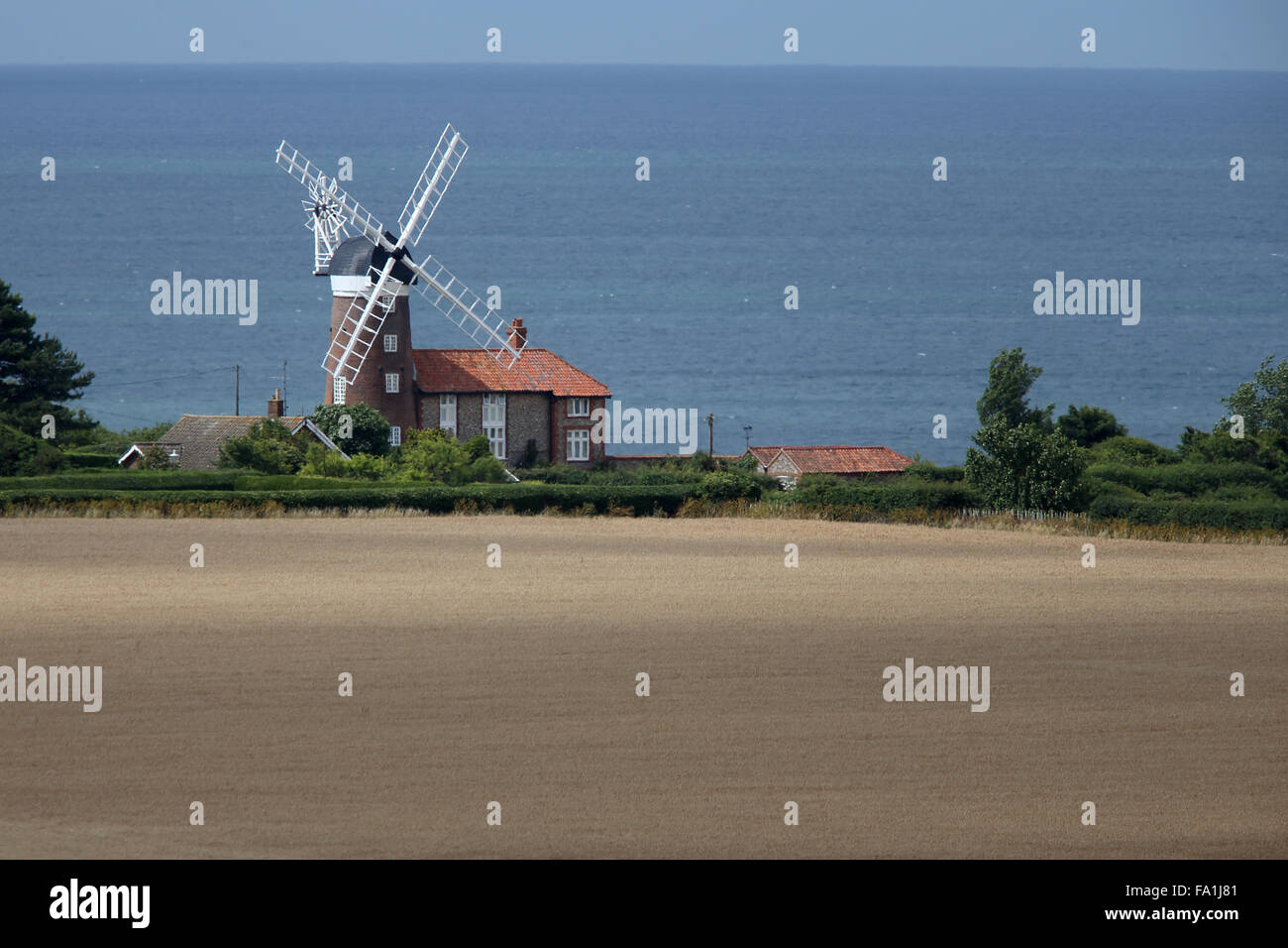 Alte Windmühle neben einem Weizen Feld, Weybourne, Norfolk, England, UK. Stockfoto