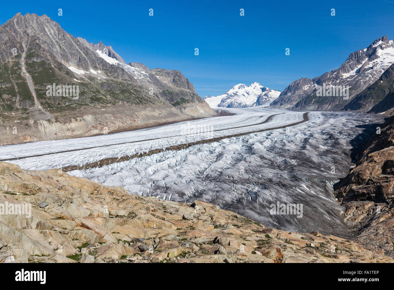 Der Aletschgletscher. Aletschgletscher. Die Ostbernischen Alpen im Schweizer Kanton Wallis. Schweiz. Stockfoto