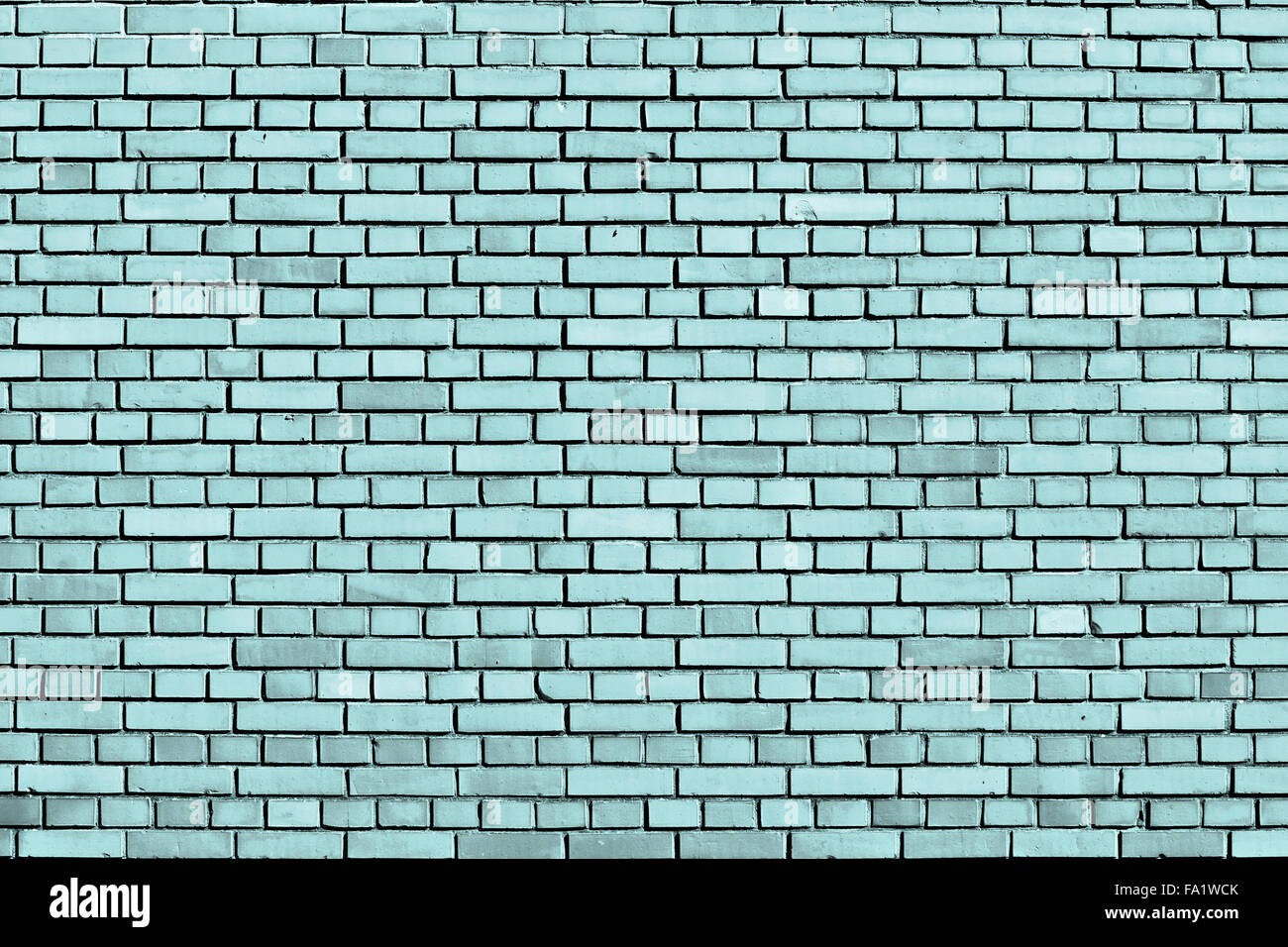 Limpet Schale blaue Ziegel Wand Hintergrund Stockfoto