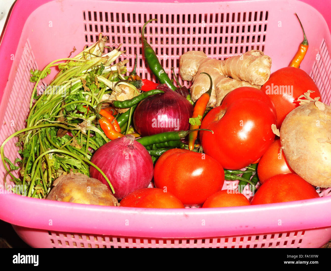 Korb mit frischem Bio-Gemüse Stockfoto