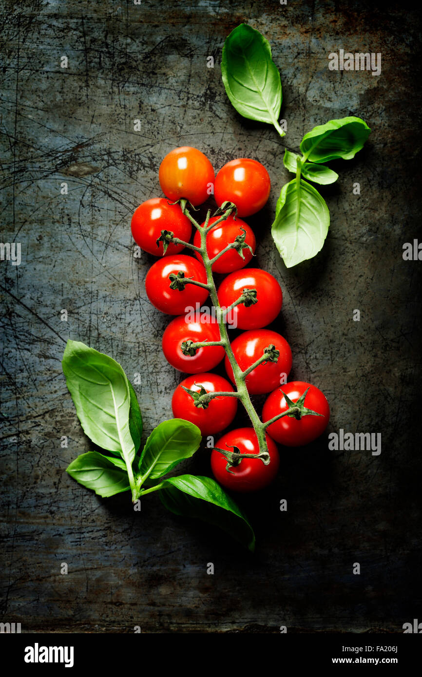 Frische Trauben Tomaten mit Basilikum auf rustikalen Hintergrund Stockfoto