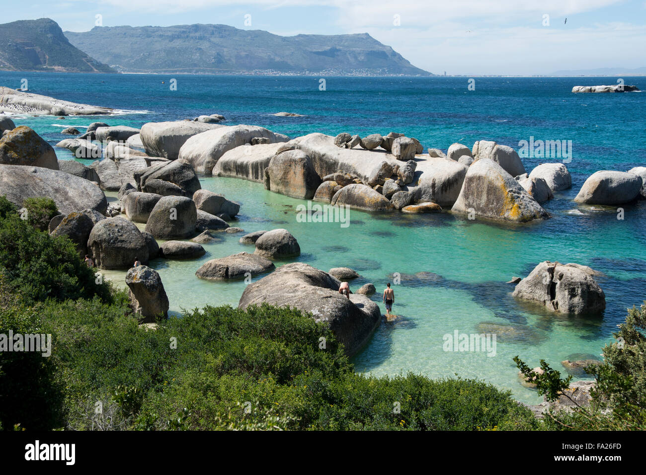 Südafrika, Kapstadt, Simons Town, Boulders Beach. Afrikanischen Pinguinkolonie (Spheniscus Demersus). Touristen, die schwimmen. Stockfoto