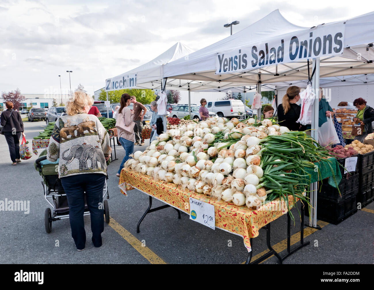 Ailsa Craig White Yensis Salat Zwiebeln, South Anchorage Farmers Market. Stockfoto