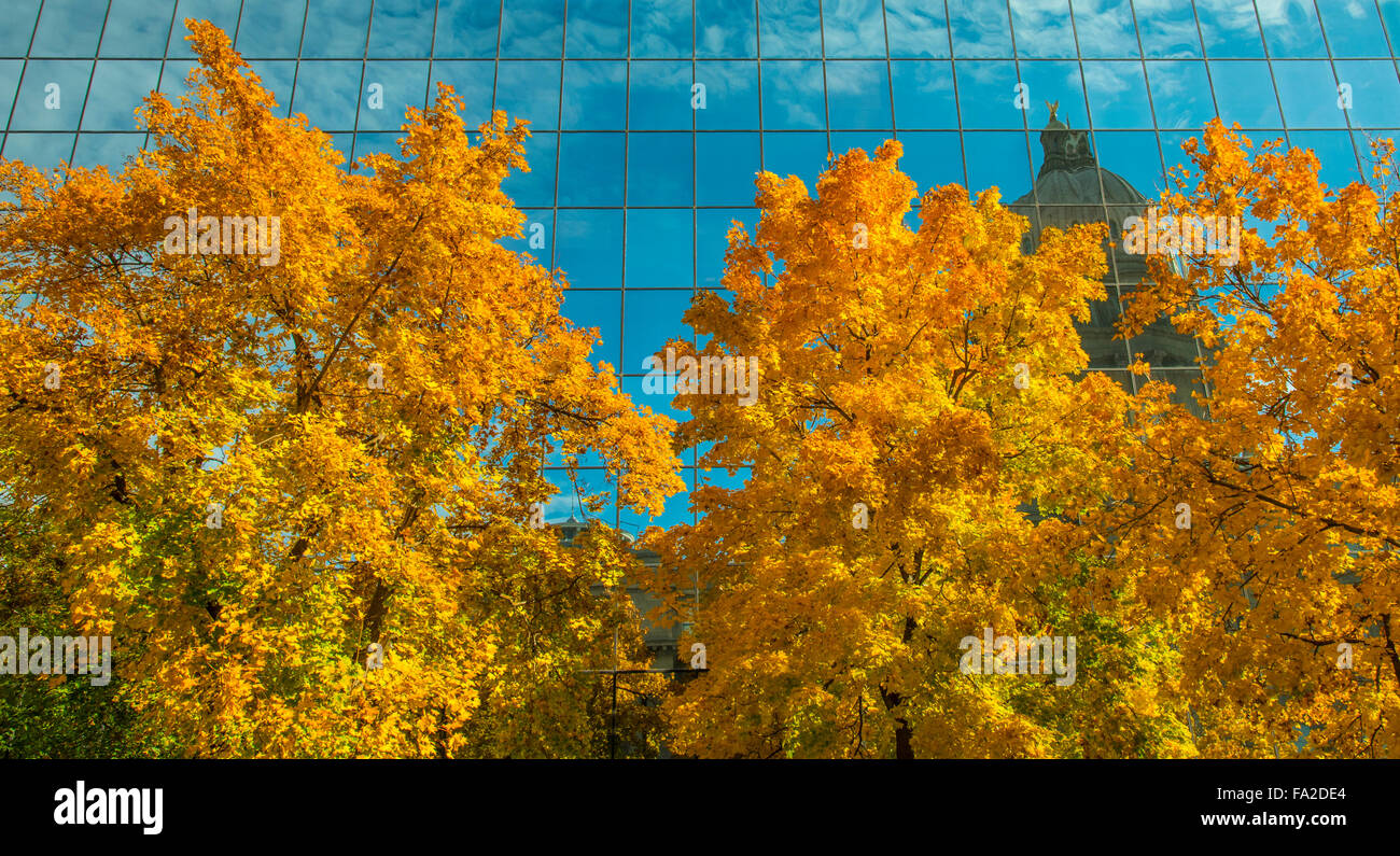 IDAHO STATE CAPITOL in die Hall of Mirrors, gesäumt von Herbst Bäume widerspiegelt. Boise, Idaho, USA Stockfoto