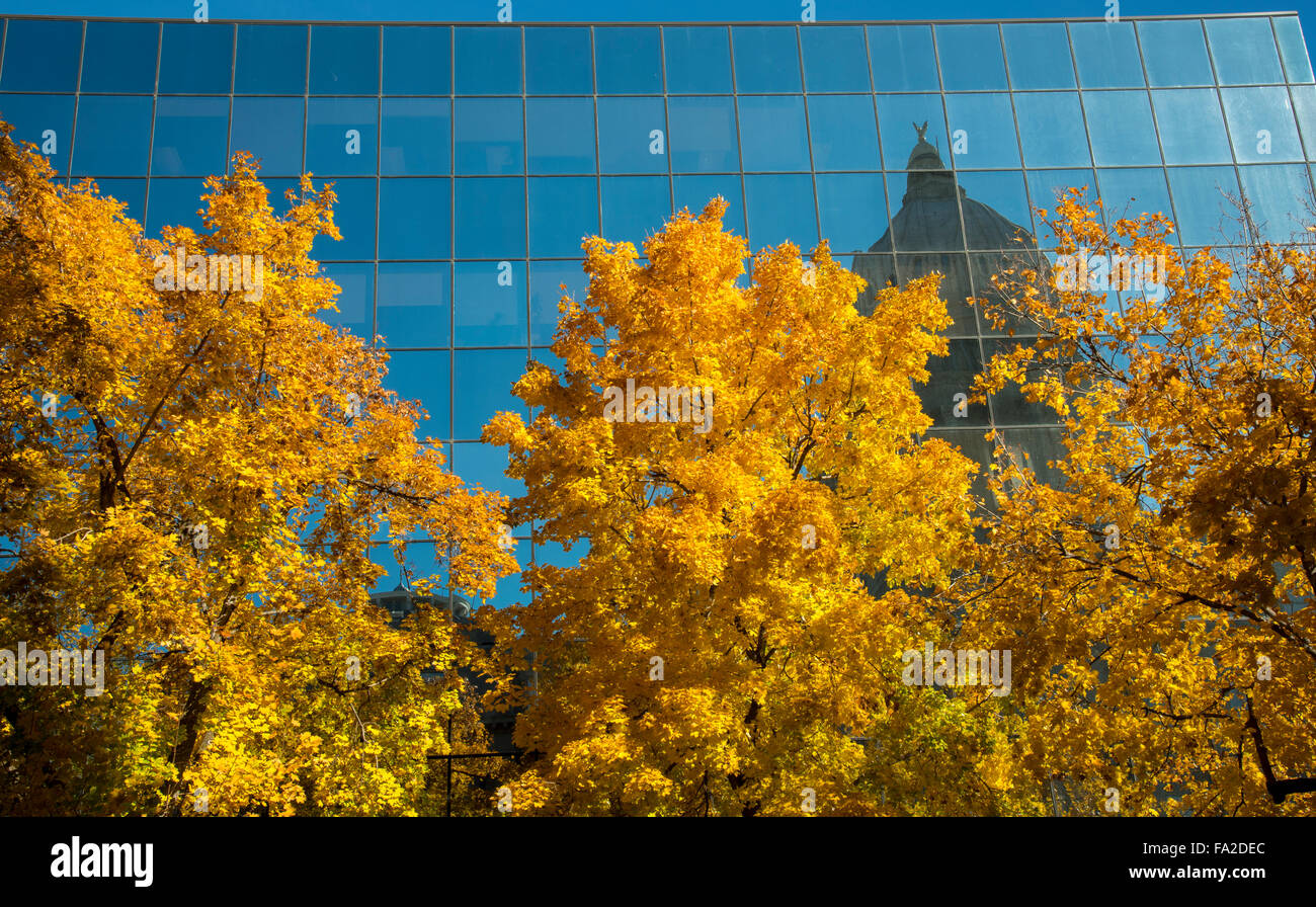 IDAHO STATE CAPITOL Dome in die Hall of Mirrors, gesäumt von Herbst Bäume widerspiegelt. Boise, Idaho, USA Stockfoto