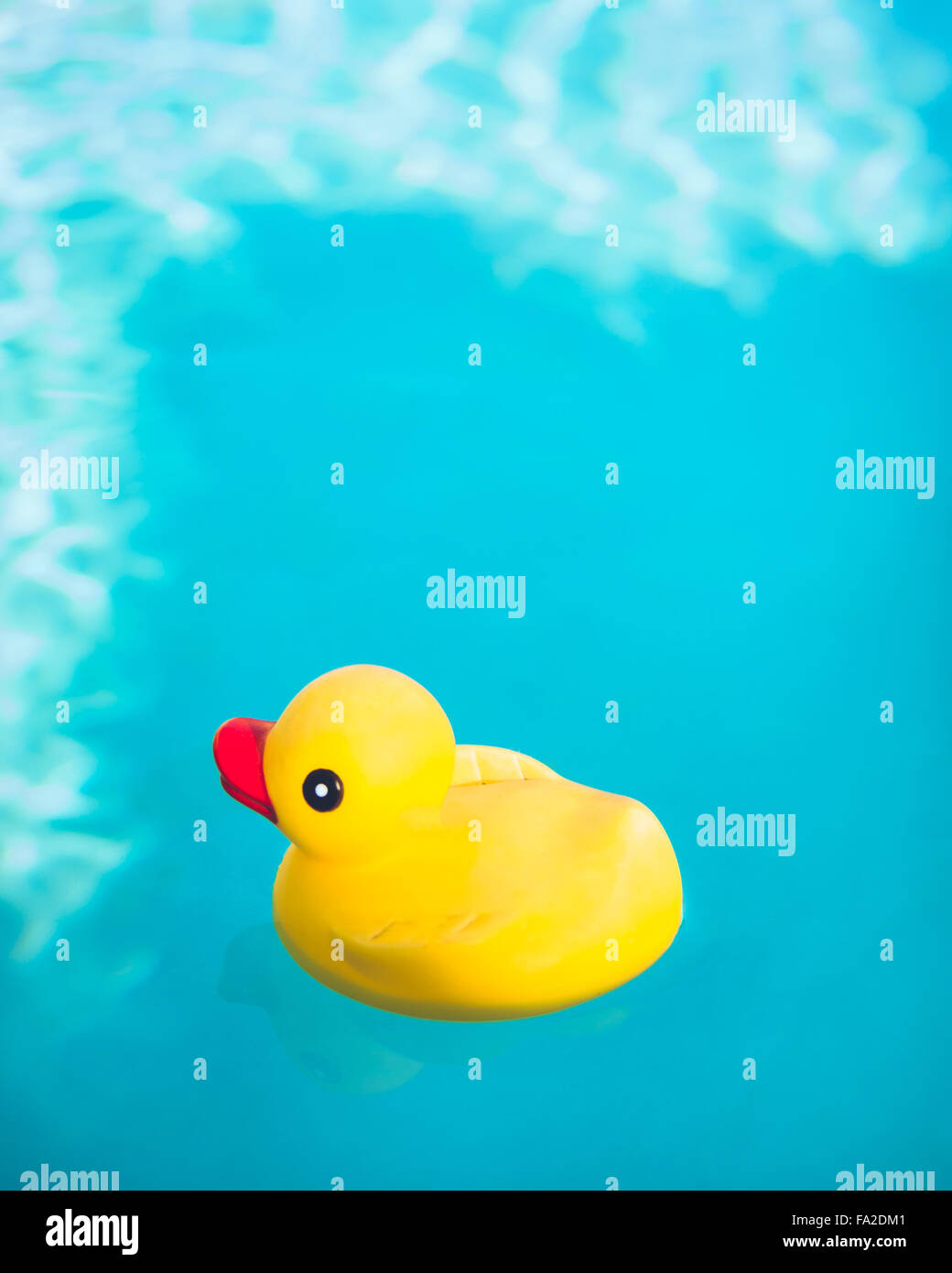 Rubber Duck floating im tiefen blauen Wasser Stockfotografie Alamy