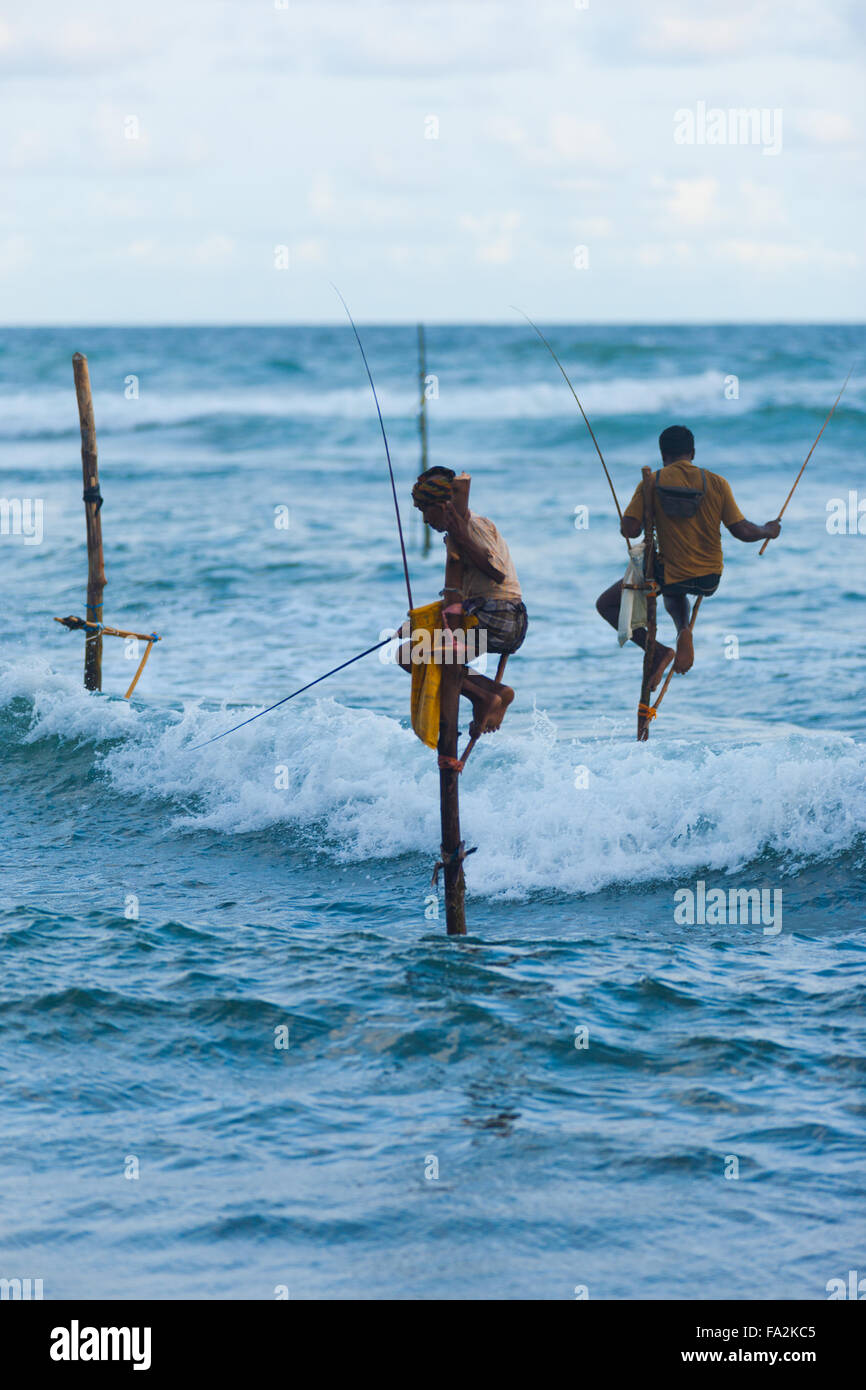 Ein Sri Lanka Stelzenfischer eintauchen, in der seine Köder in die Wellen, die auf einzigartige Weise traditionelle Weise Fische fangen Stockfoto