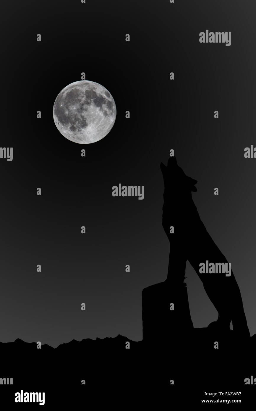 Wolf den Vollmond anheulen Stockfoto