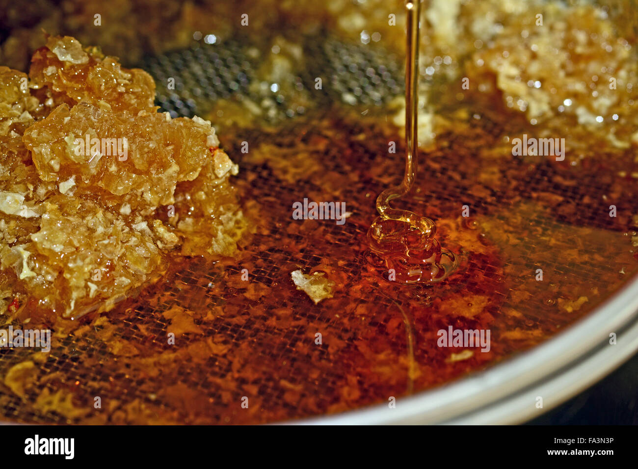 Honig aus dem Extraktor Mechanismus in ein Sieb mit Waben Stockfoto