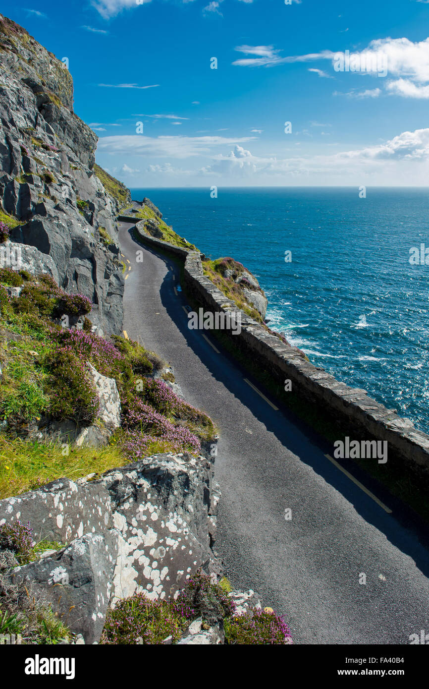Single Track Küstenstraße am Slea Head in Irland Stockfoto