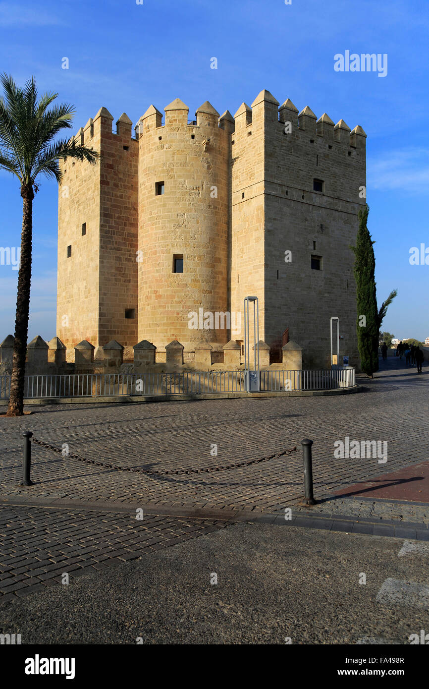Mittelalterlichen Turm Torre De La Calahorra, Cordoba, Spanien Stockfoto