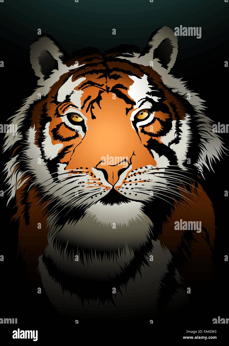 Tiger in den dunklen Hintergrund Illustration zu beobachten. Stock Vektor