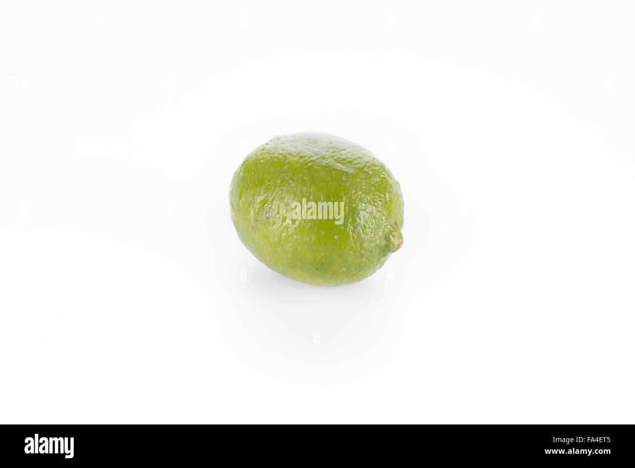 Eine ganze Frische Limette isoliert auf weißem Hintergrund Stockfoto