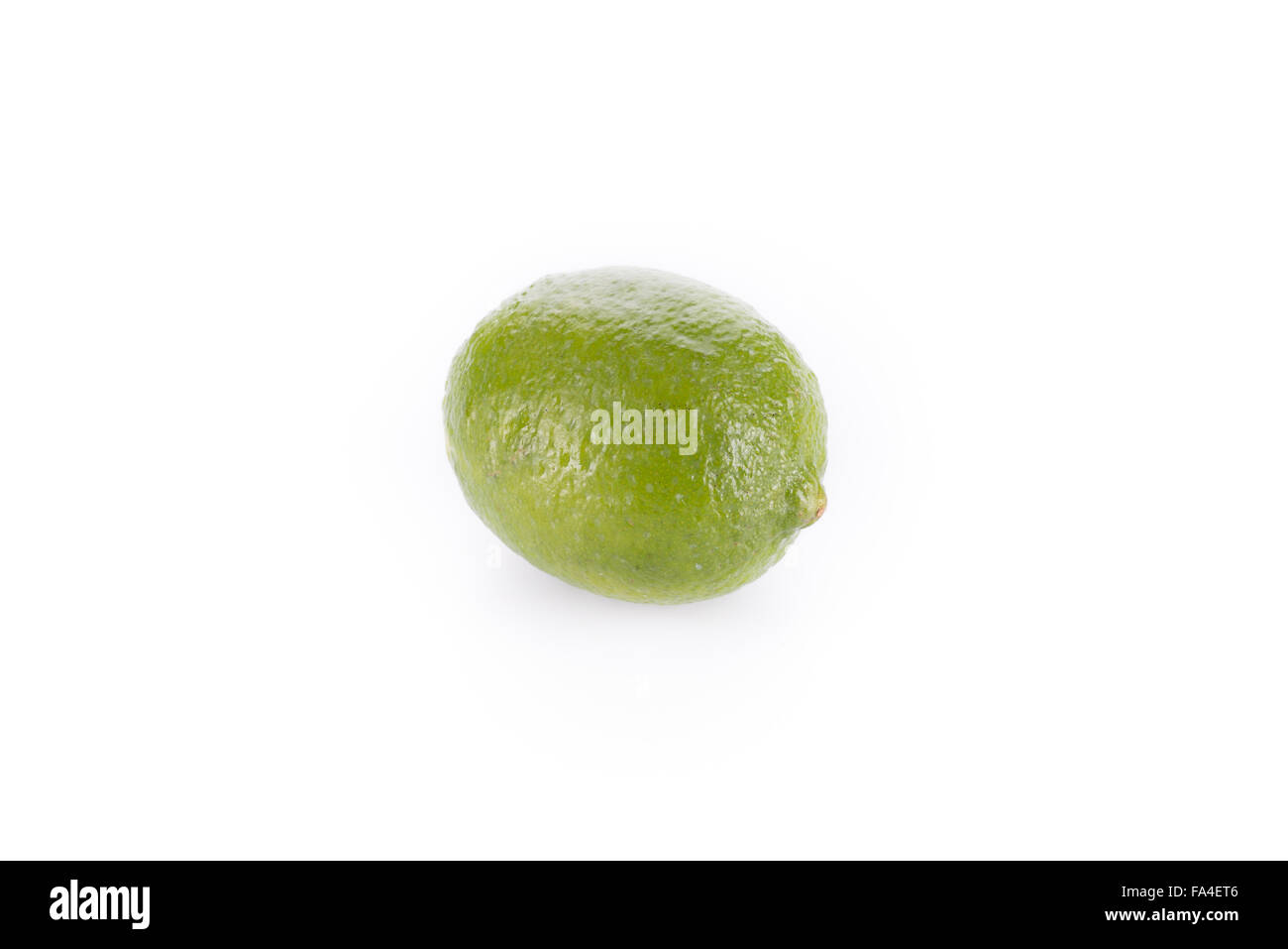 Eine ganze Frische Limette isoliert auf weißem Hintergrund Stockfoto