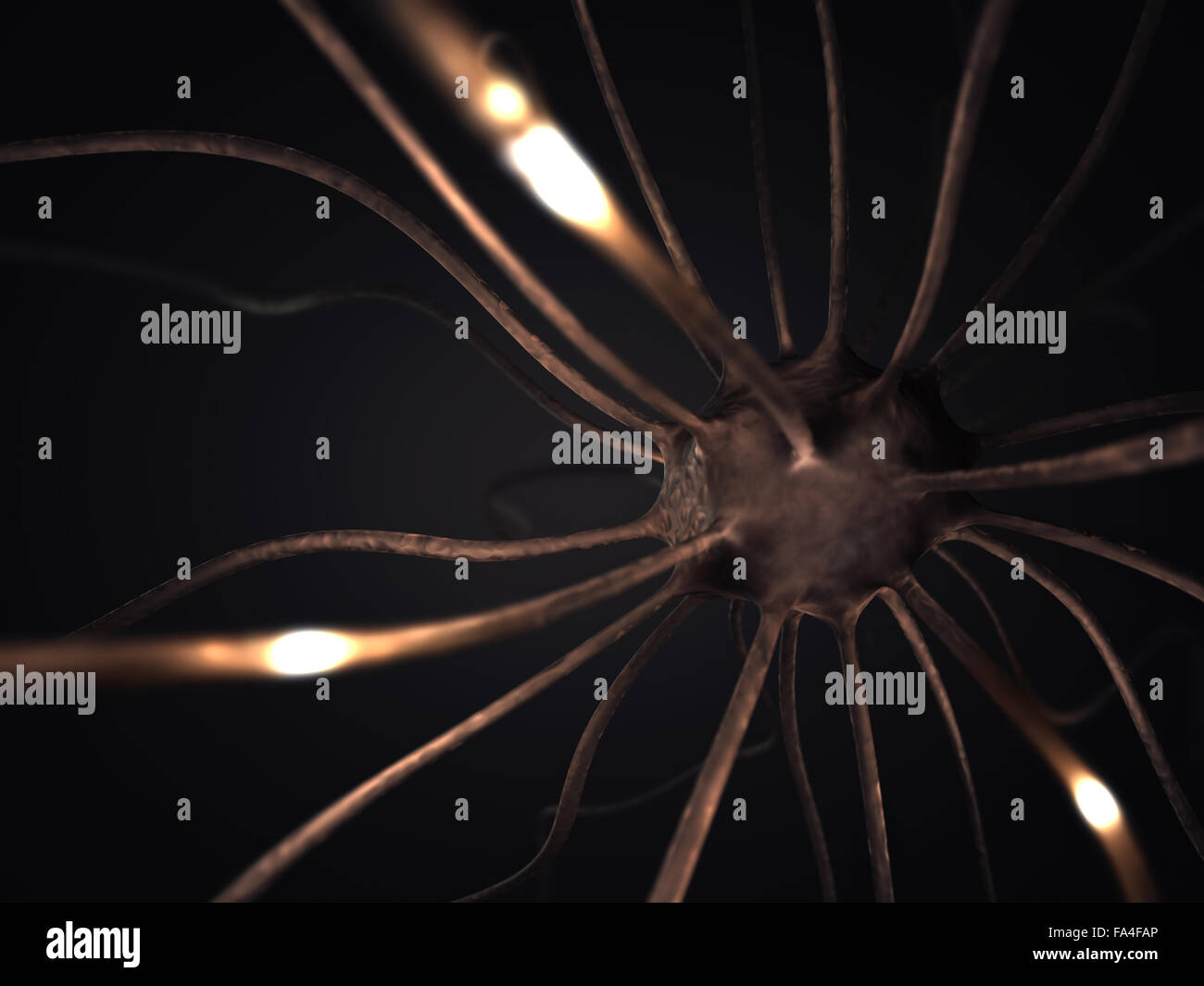 Bild-Konzept von Neuronen in einem komplexen Gehirn-Netzwerk miteinander verbunden. Stockfoto