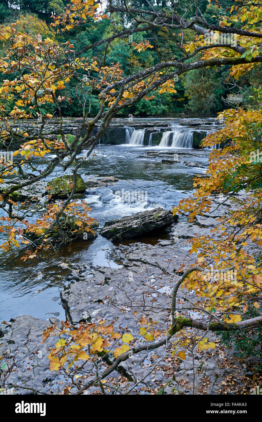 Upper Aysgarth Falls - Yorkshire Dales, England, UK Stockfoto