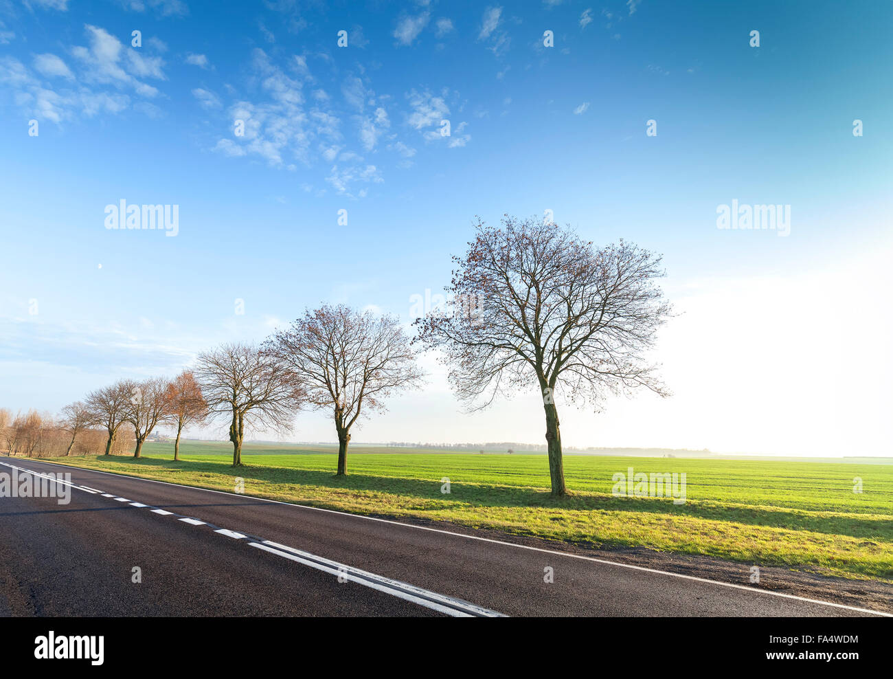 Leere Landschaft Straße mit kahlen Bäumen. Stockfoto