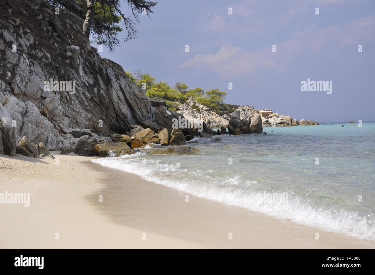 Strand mit Felsen und Pflanzen in Griechenland Stockfoto