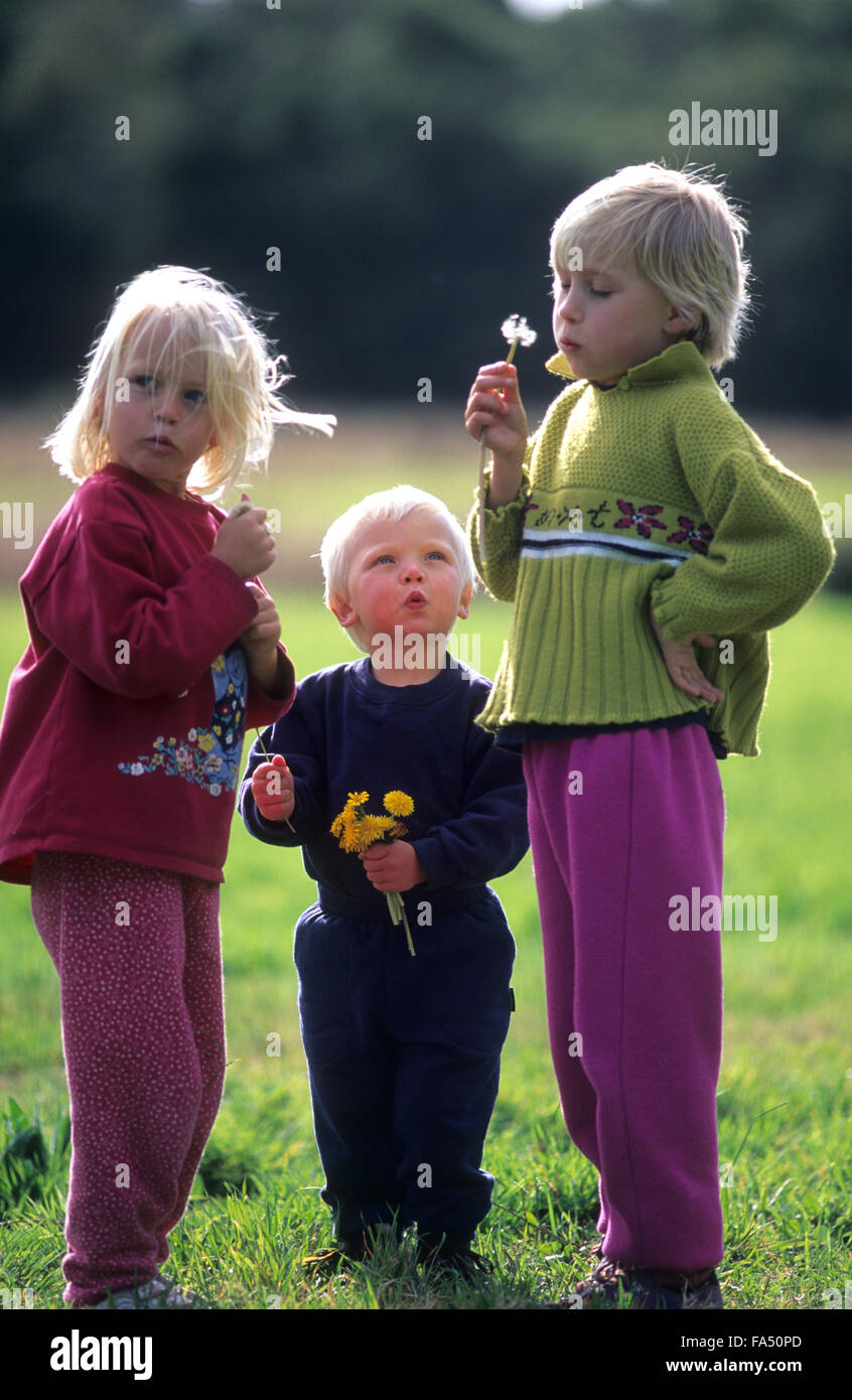 Spielende Kinder, 3 Kinder, sammeln von wilden Blumen. Bruder und zwei Schwestern. Stockfoto