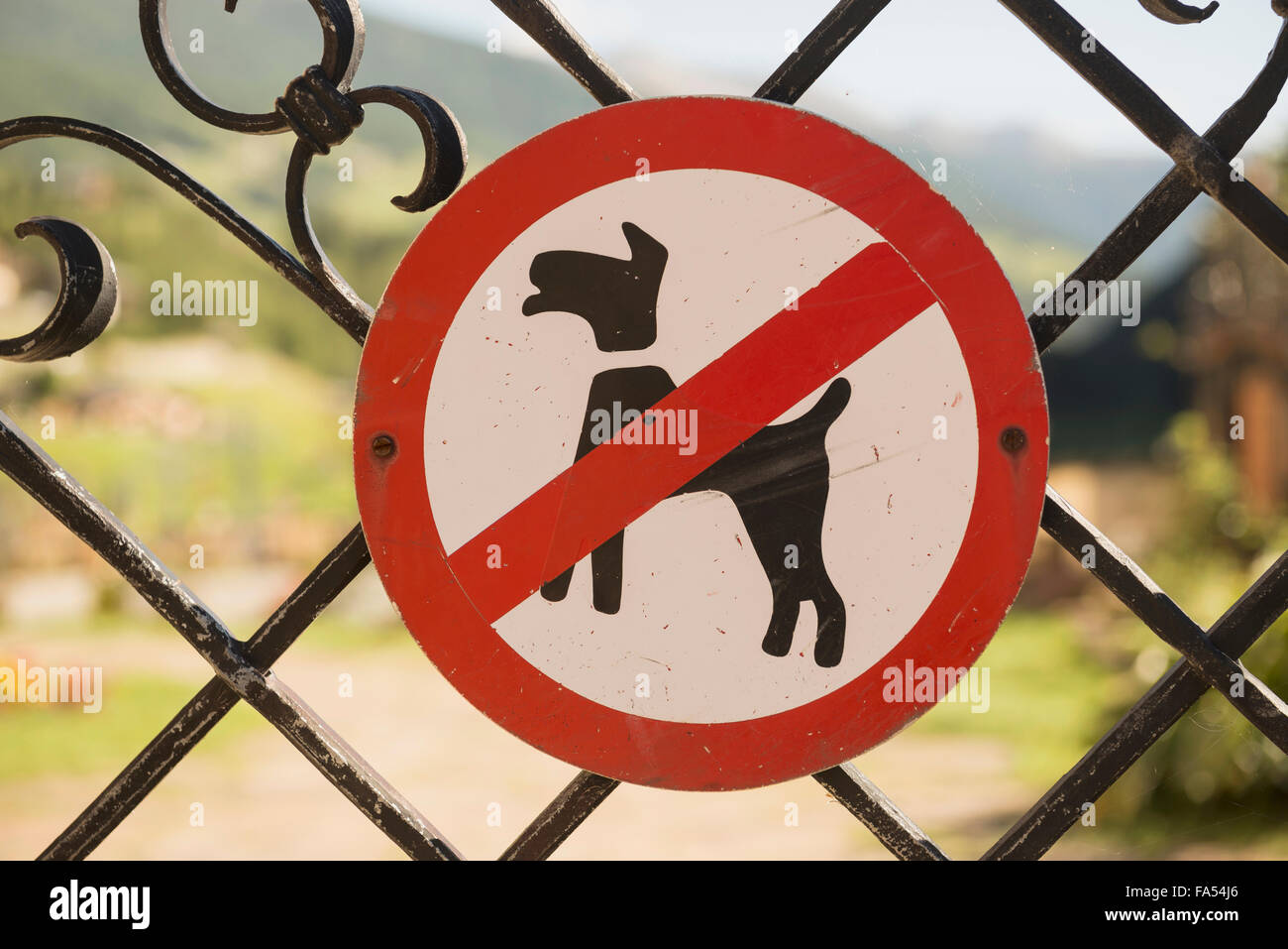 Keine Hunde Schild am Tor, Kärnten, Österreich Stockfoto
