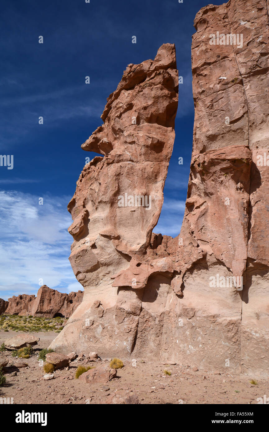 Erodiert rock Pinnacle, Valle de las Rocas, felsige Tal, Uyuni, Altiplano, Dreiländereck, Bolivien, Argentinien, Chile Stockfoto