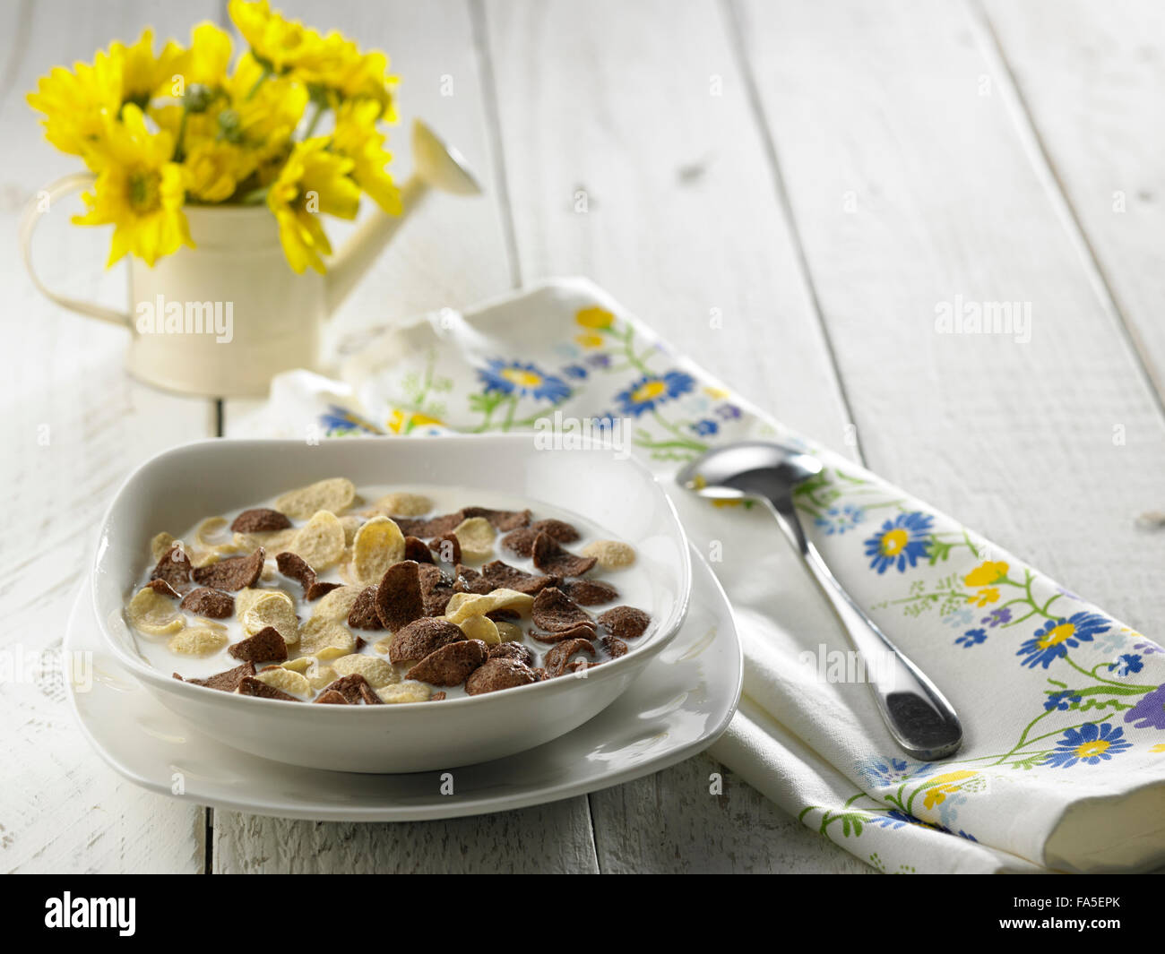 Gesundheit-Frühstücks-Cerealien mit Milch Stockfoto