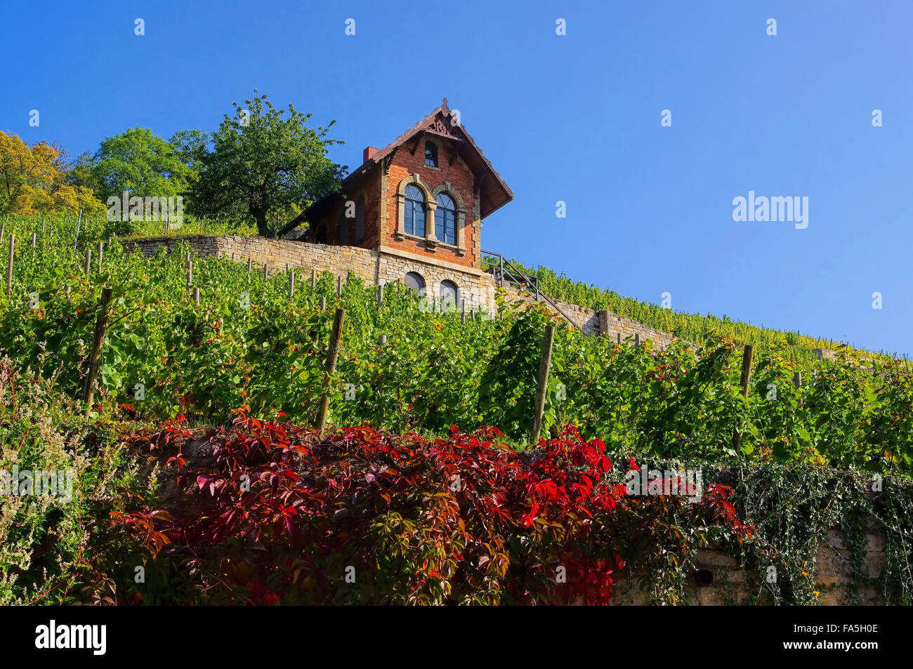 Naumburg saale weinberge Fotos und Bildmaterial in hoher Auflösung