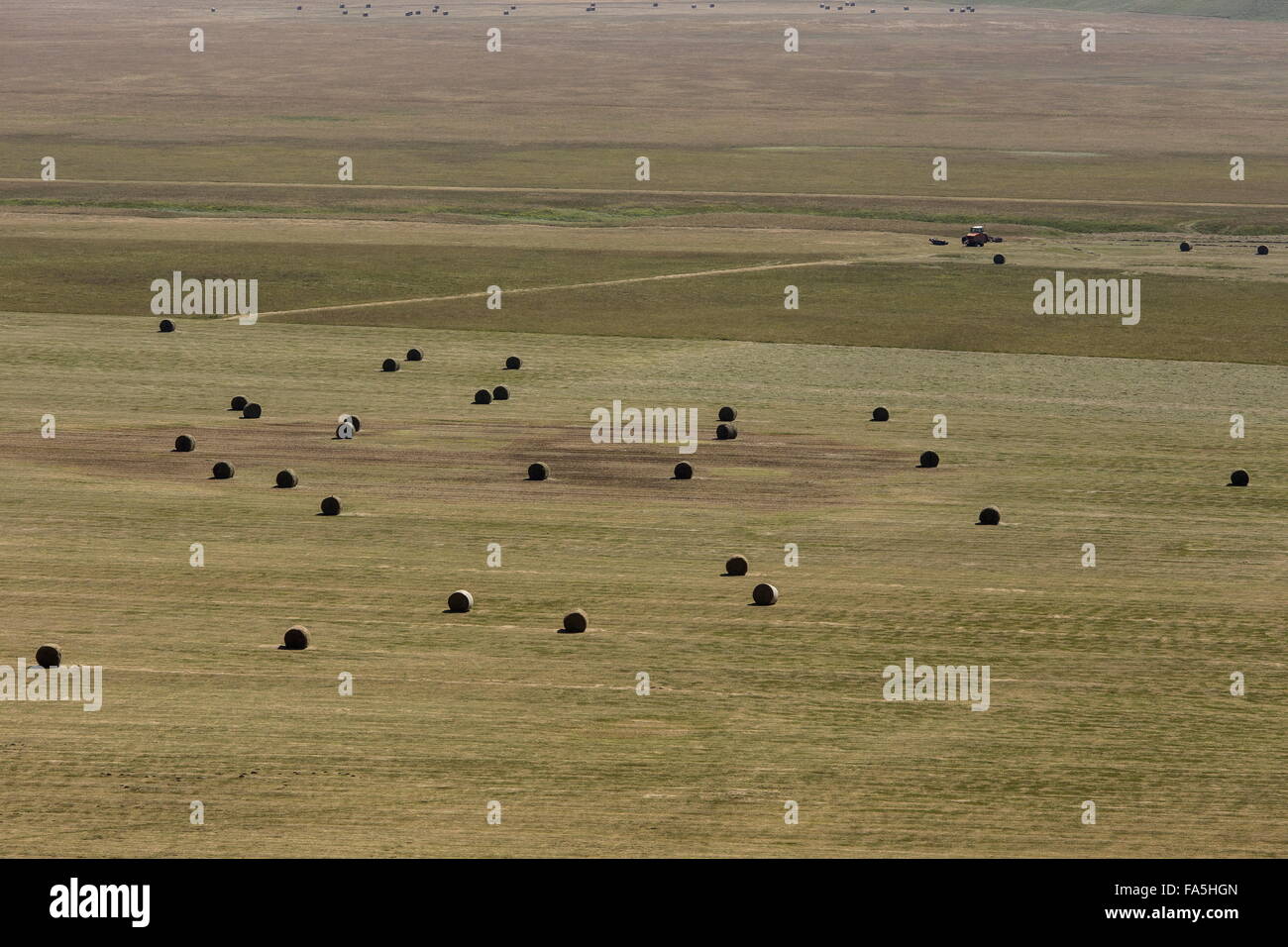 Das Piano Grande nach der Heuernte, im Nationalpark der Monti Sibillini, Umbrien, Italien Stockfoto