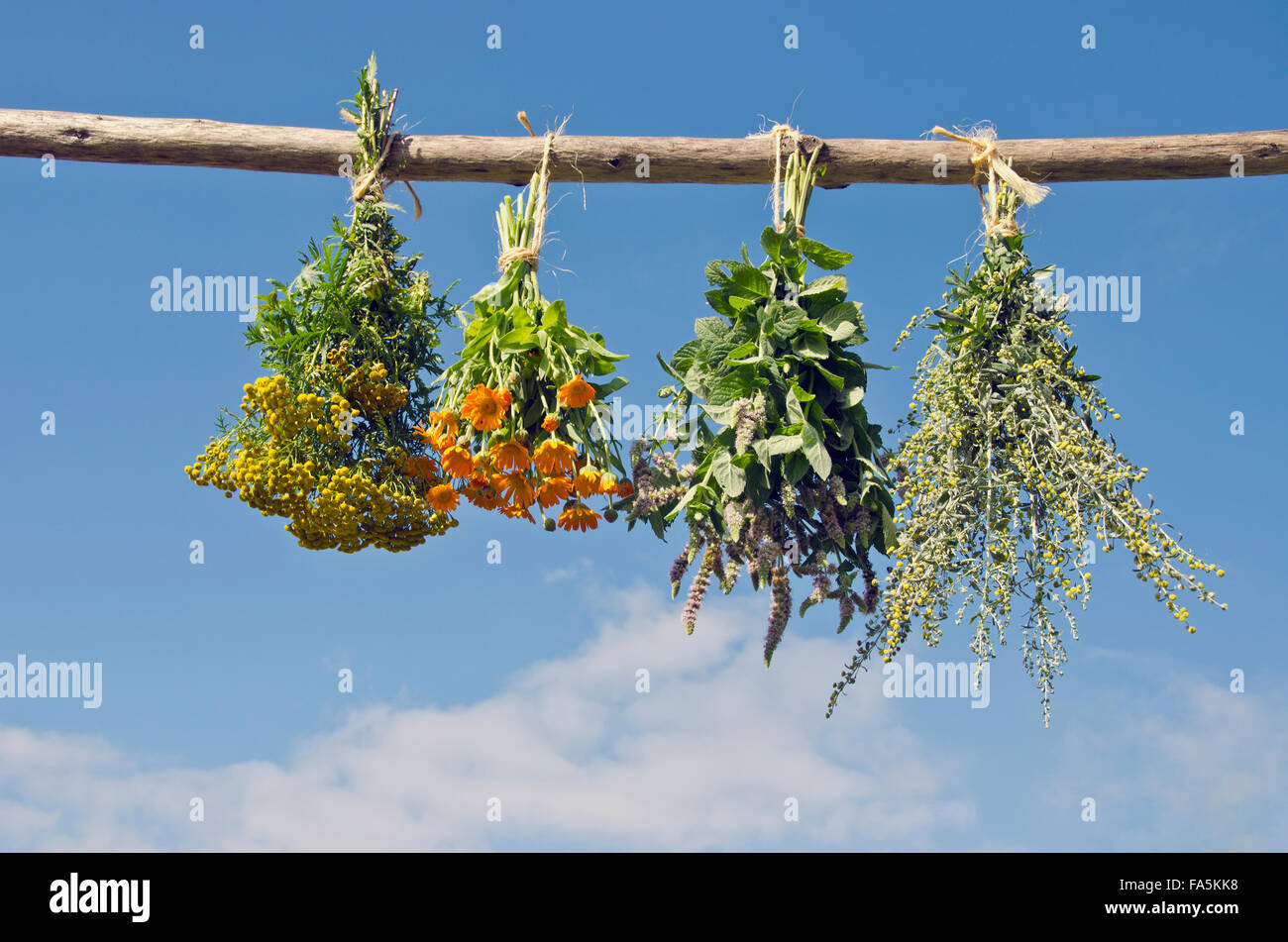 Verschiedene medizinische Kräuter gehängt zum Trocknen auf einem Holzstab außerhalb an sonnigen bewölkten Tag Stockfoto