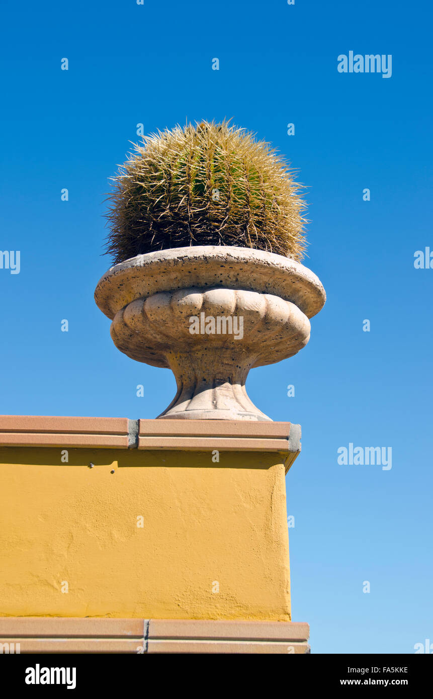 Großen stacheligen dekorative Kaktus in einer antiken Vase platziert als Dekoration außen an der Wand Stockfoto