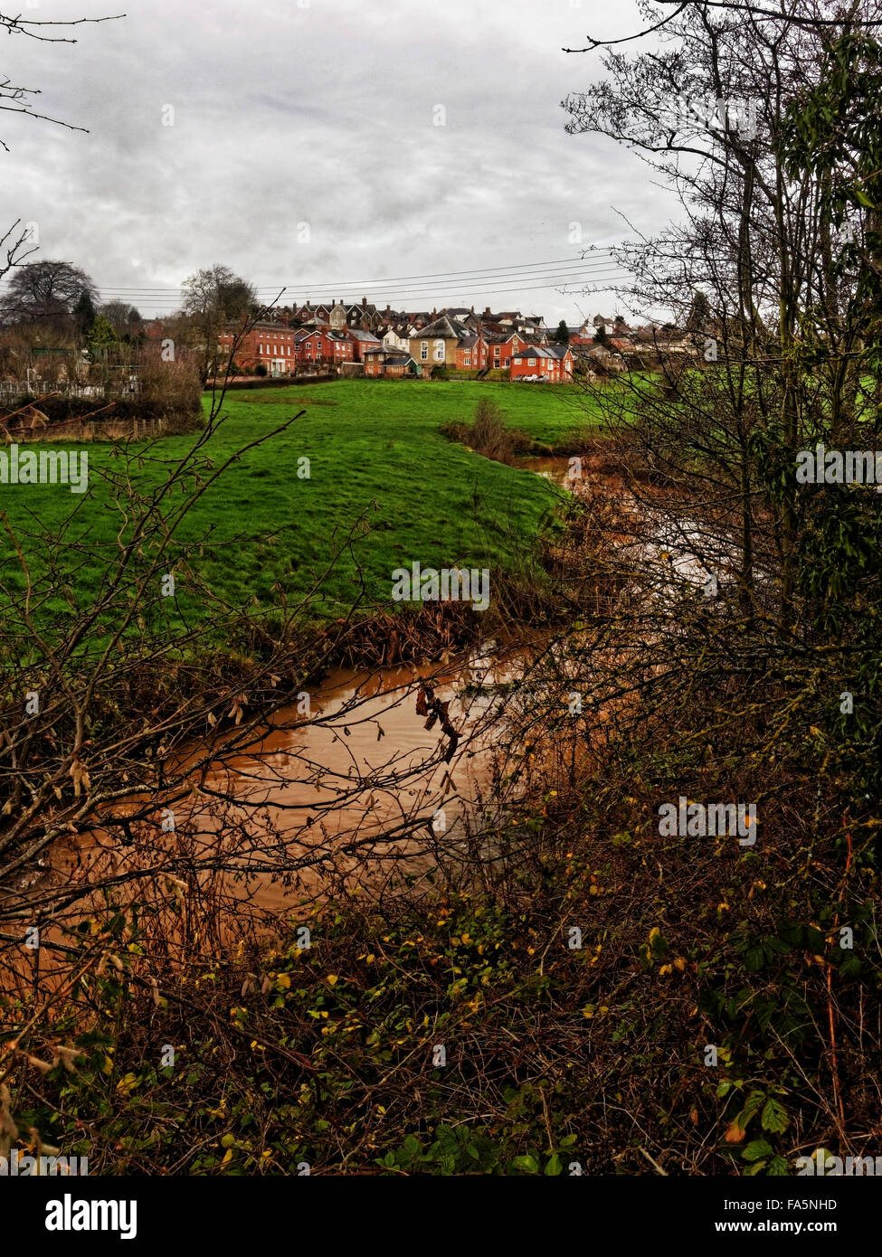 Fluß Frome, neben Bromyard, einer Stadt in Herefordshire, England Stockfoto