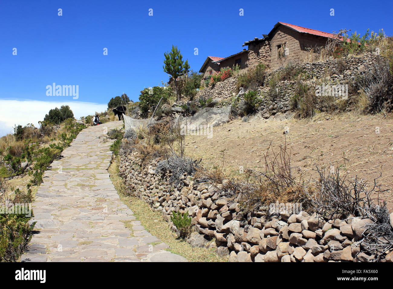 Pflasterweg auf Taquile Insel Titicaca-See Stockfoto