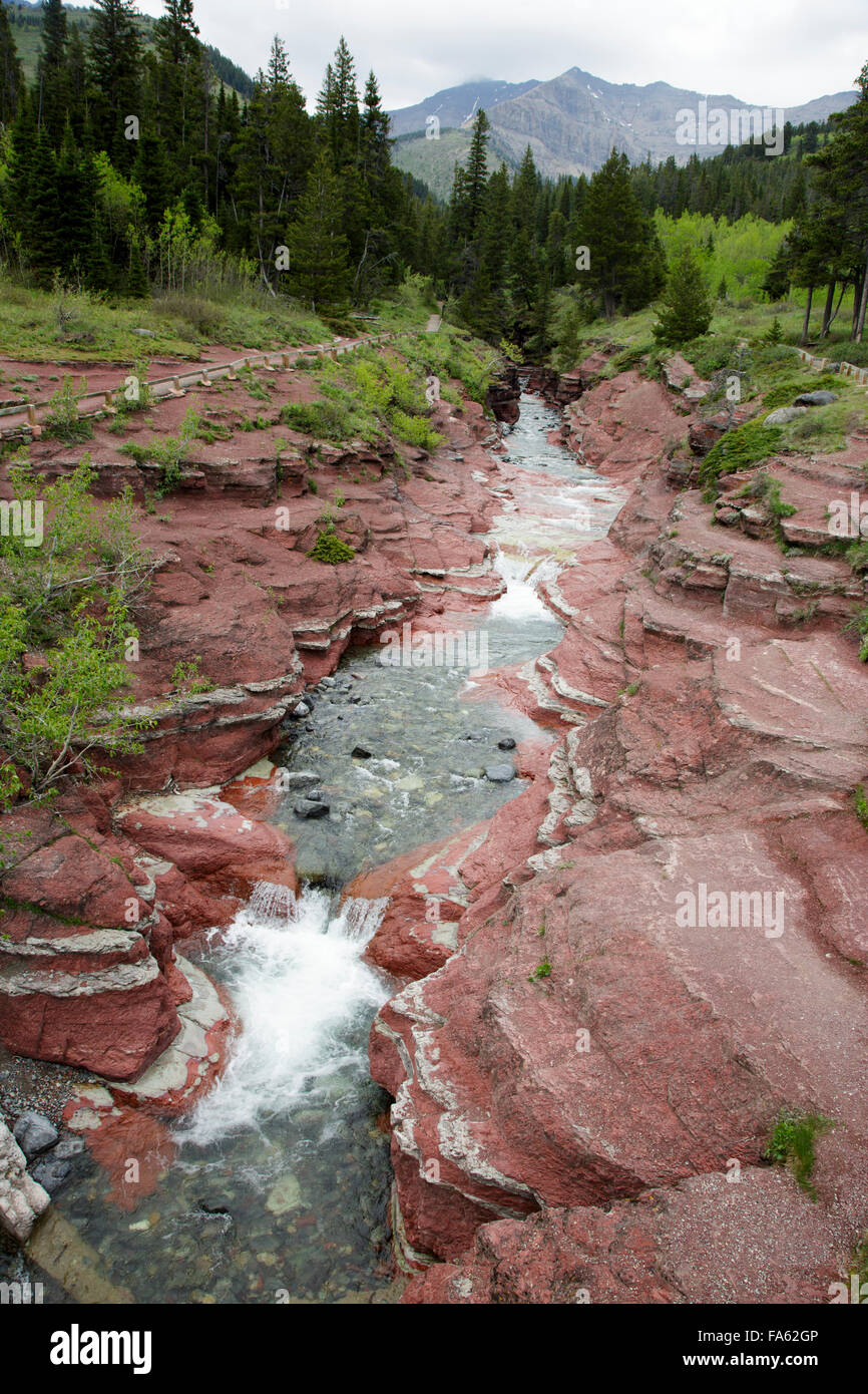 Red Rock Canyon, Waterton Lakes National Park, Alberta, Kanada, Rocky Mountains, Stockfoto