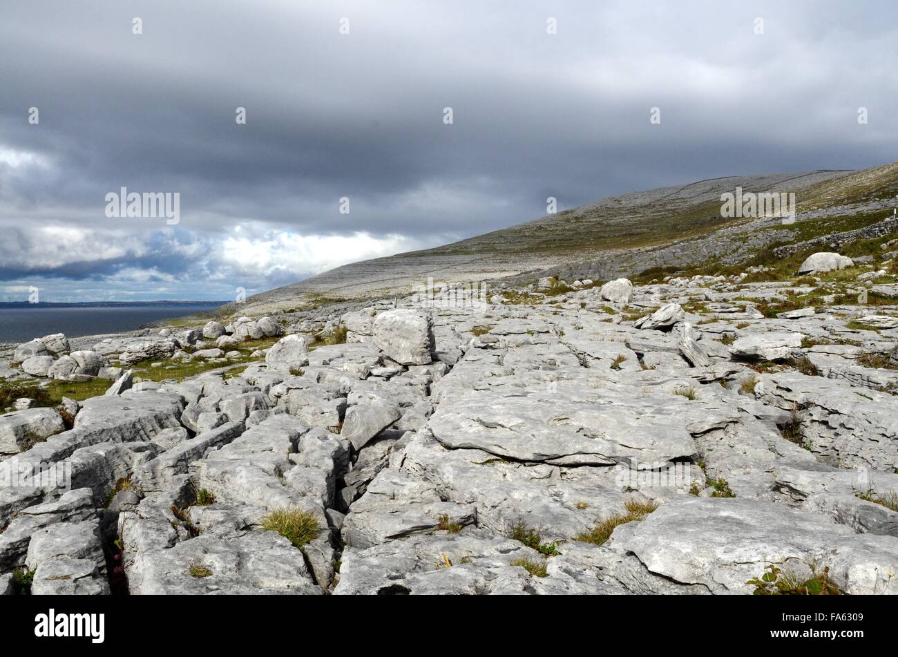 Karstlandschaft Fanore Burren County Clare Ireland Stockfoto