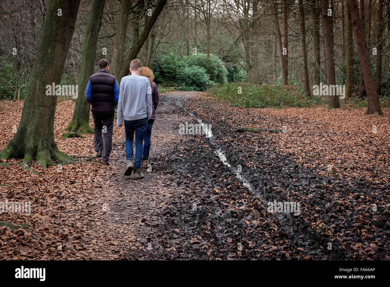 Familie spazieren durch Thorndon Park Wald in Essex, England, Vereinigtes Königreich. Stockfoto