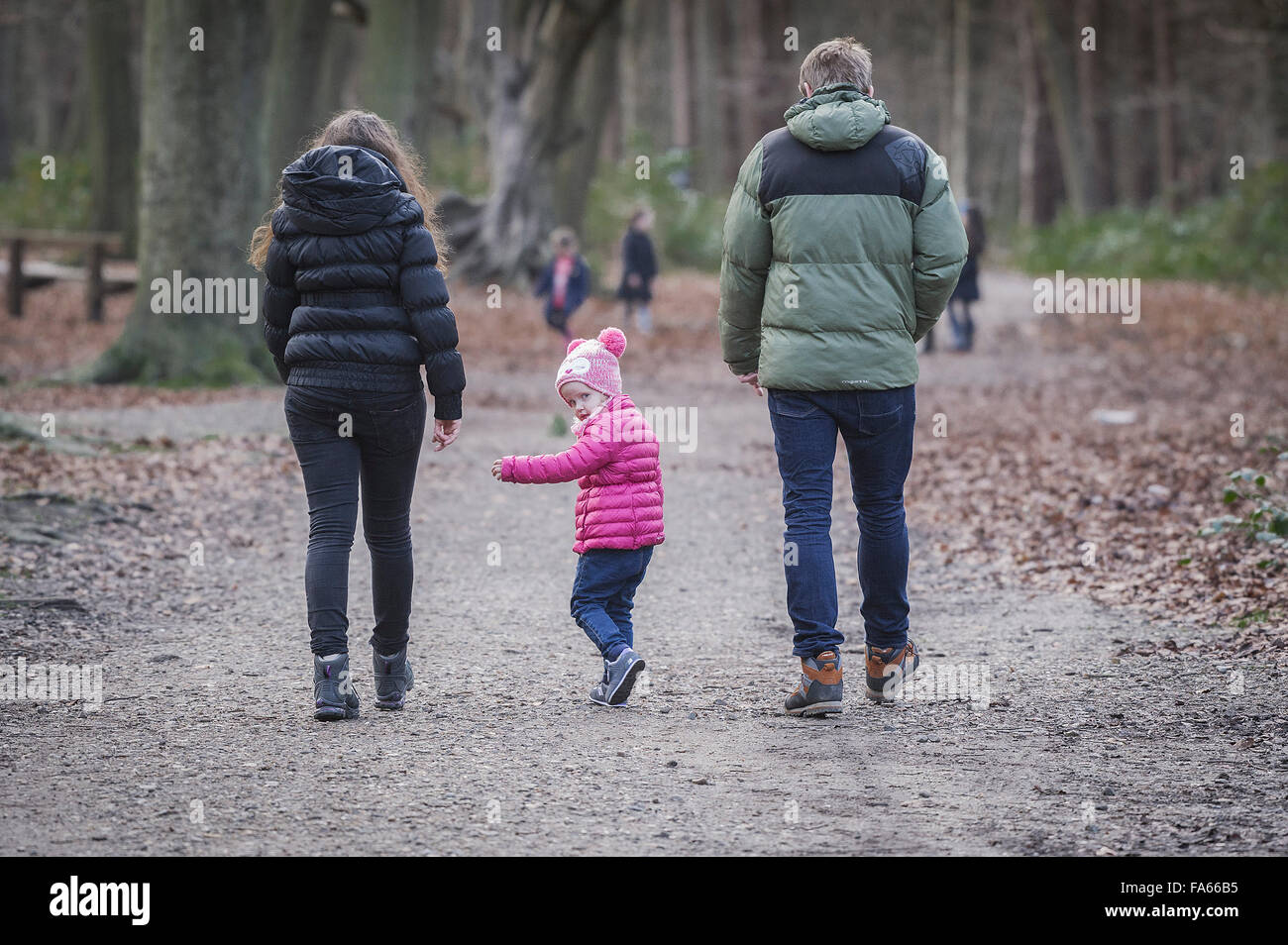 Eine Familie Spaziergang durch Ein herbstliches Thorndon Park Waldland in Essex, England, Vereinigtes Königreich. Stockfoto
