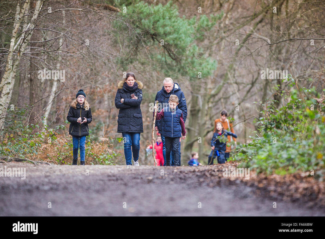 Eine Familie zu Fuß durch Ein herbstliches Thorndon Park Waldland in Essex, England, Vereinigtes Königreich. Stockfoto