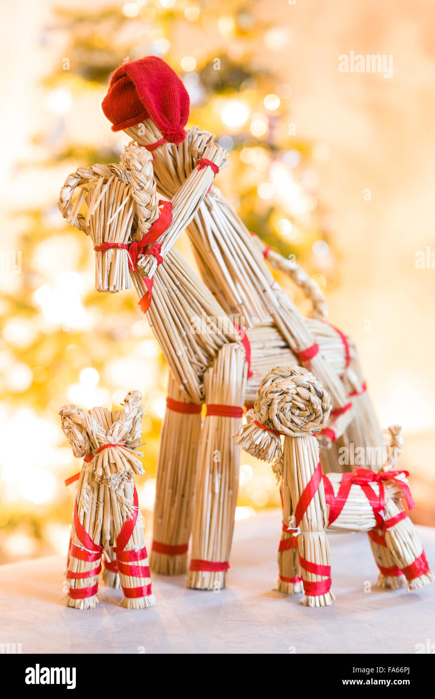 Stroh und Baby Yule Yule ziege ziegen vor Weihnachtsbaum Model Release: Ja. Property Release: Nein. Stockfoto