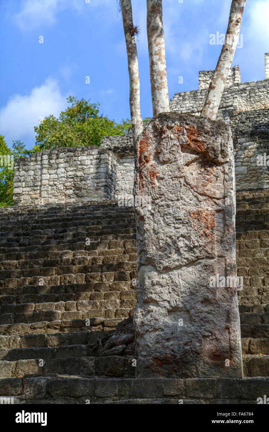 Stela 88 auf der Treppe der Struktur 13, Calakmul Maya-Ausgrabungsstätte, Campeche, Mexiko Stockfoto