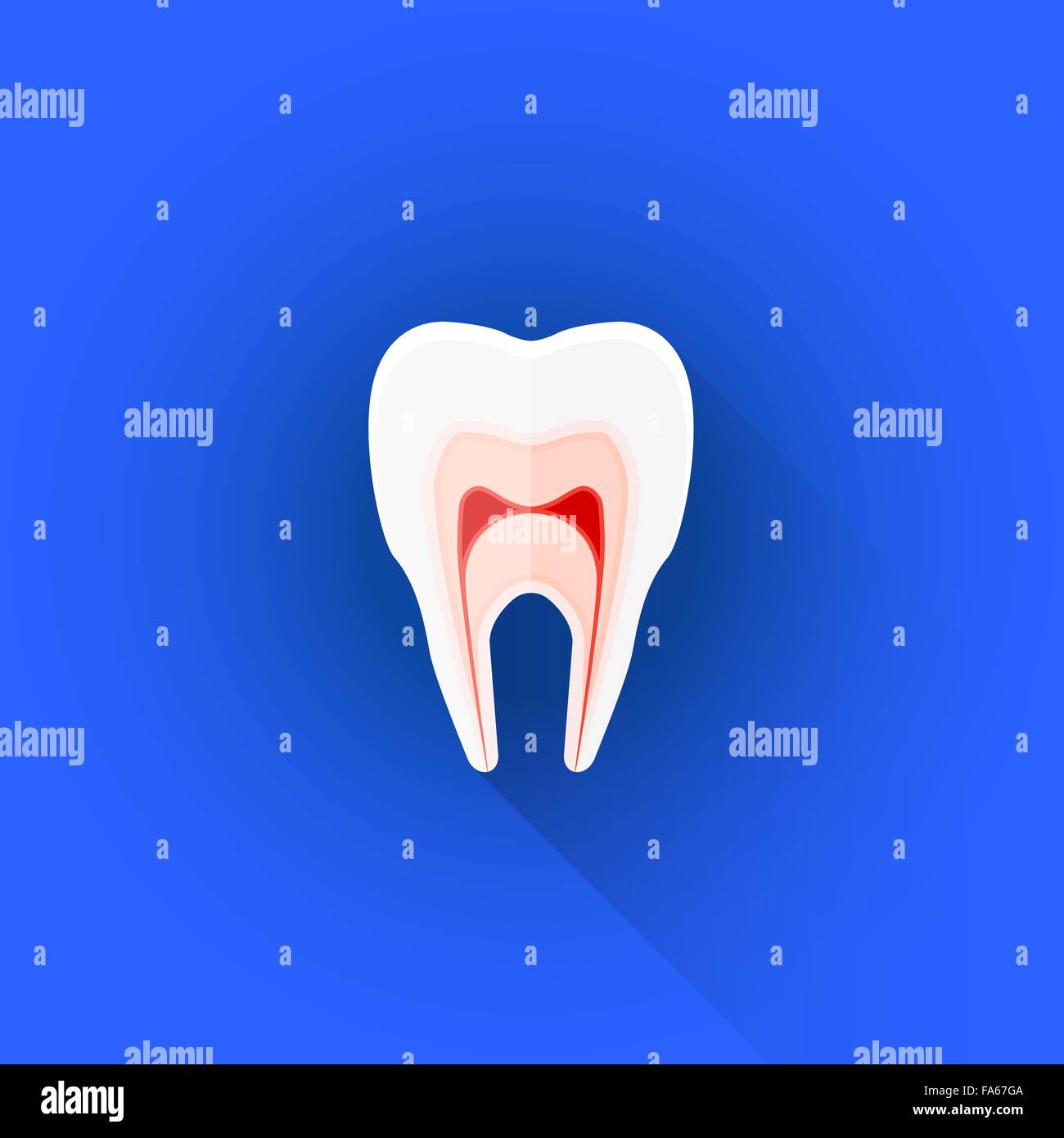 Vektor-farbige flache Design Sektionaltore Struktur des menschlichen Zahn Abbildung isoliert blauen Hintergrund lange Schatten Stock Vektor