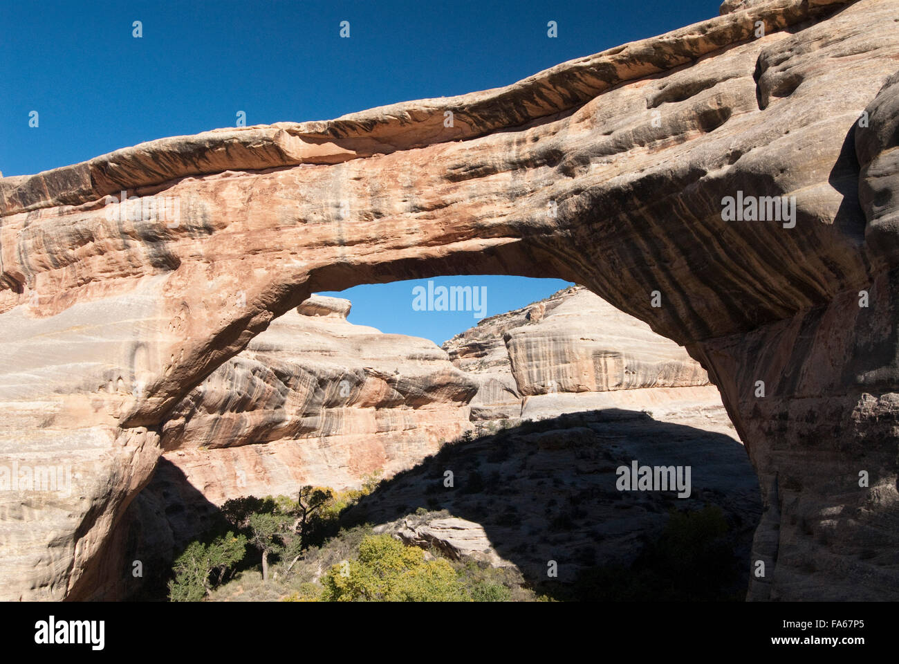 Natural Bridges Nationalmonument, Sipapu Brücke, Utah, USA Stockfoto