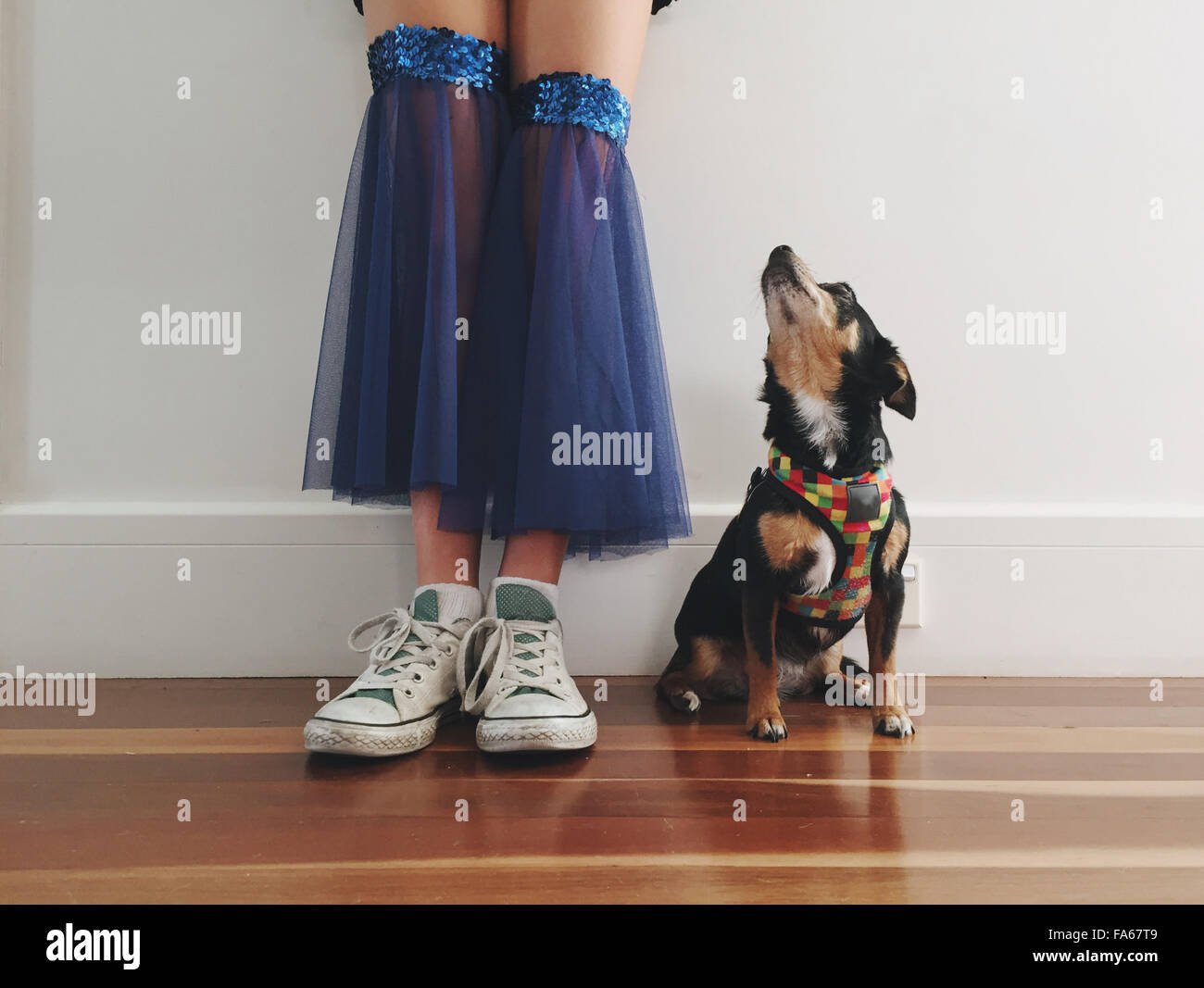 Geringen Teil der Mädchen in einem Tanzkostüm mit ihrem Chihuahua Hund Stockfoto
