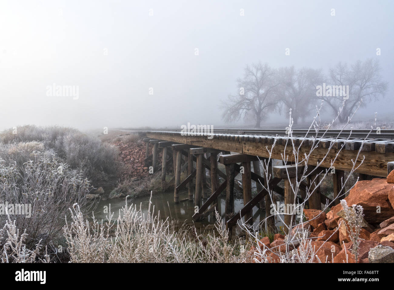 Frost überdachte Eisenbahnschienen, Colorado, USA Stockfoto