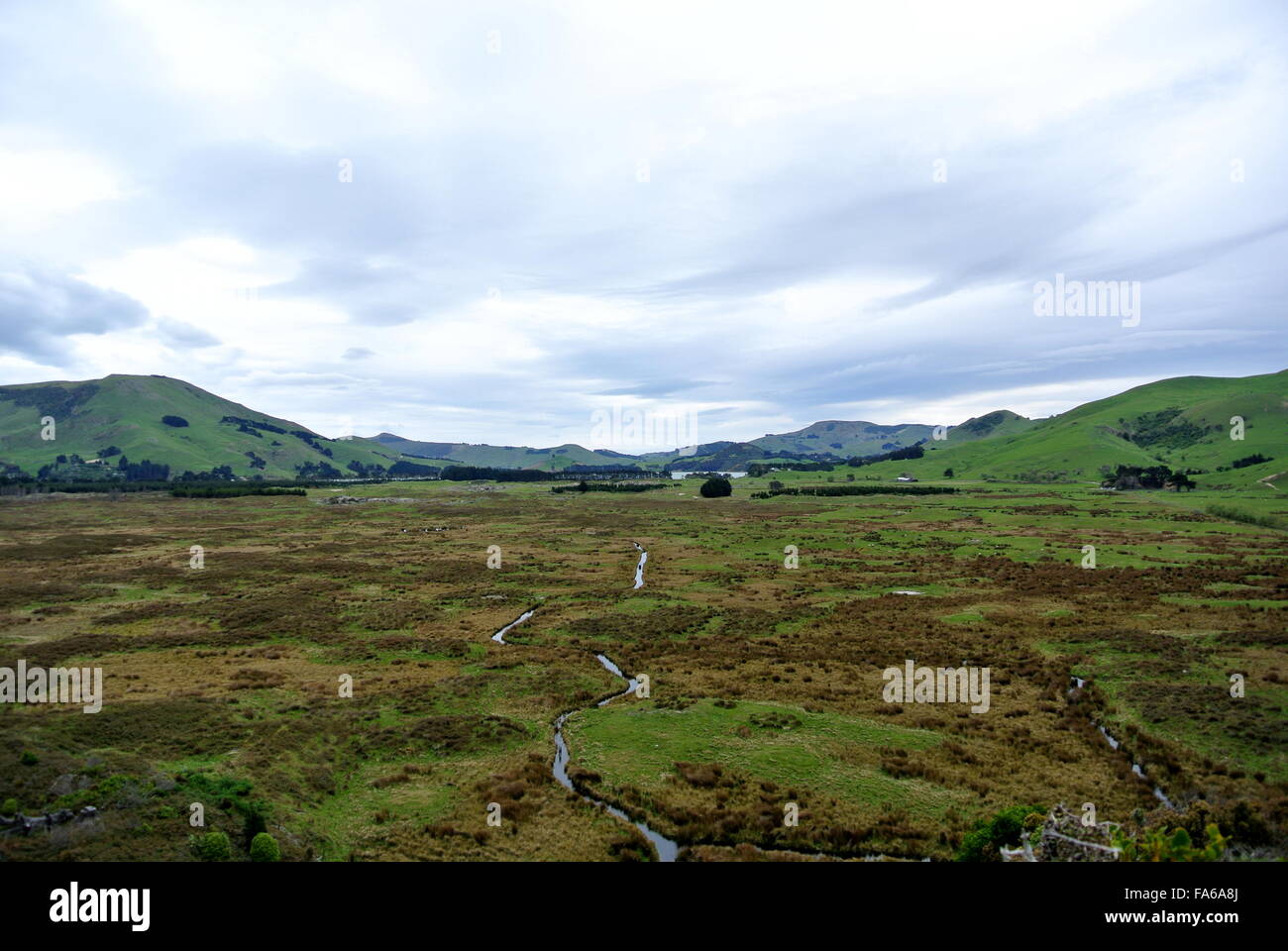 Auf der Otago Peninsula Stockfoto